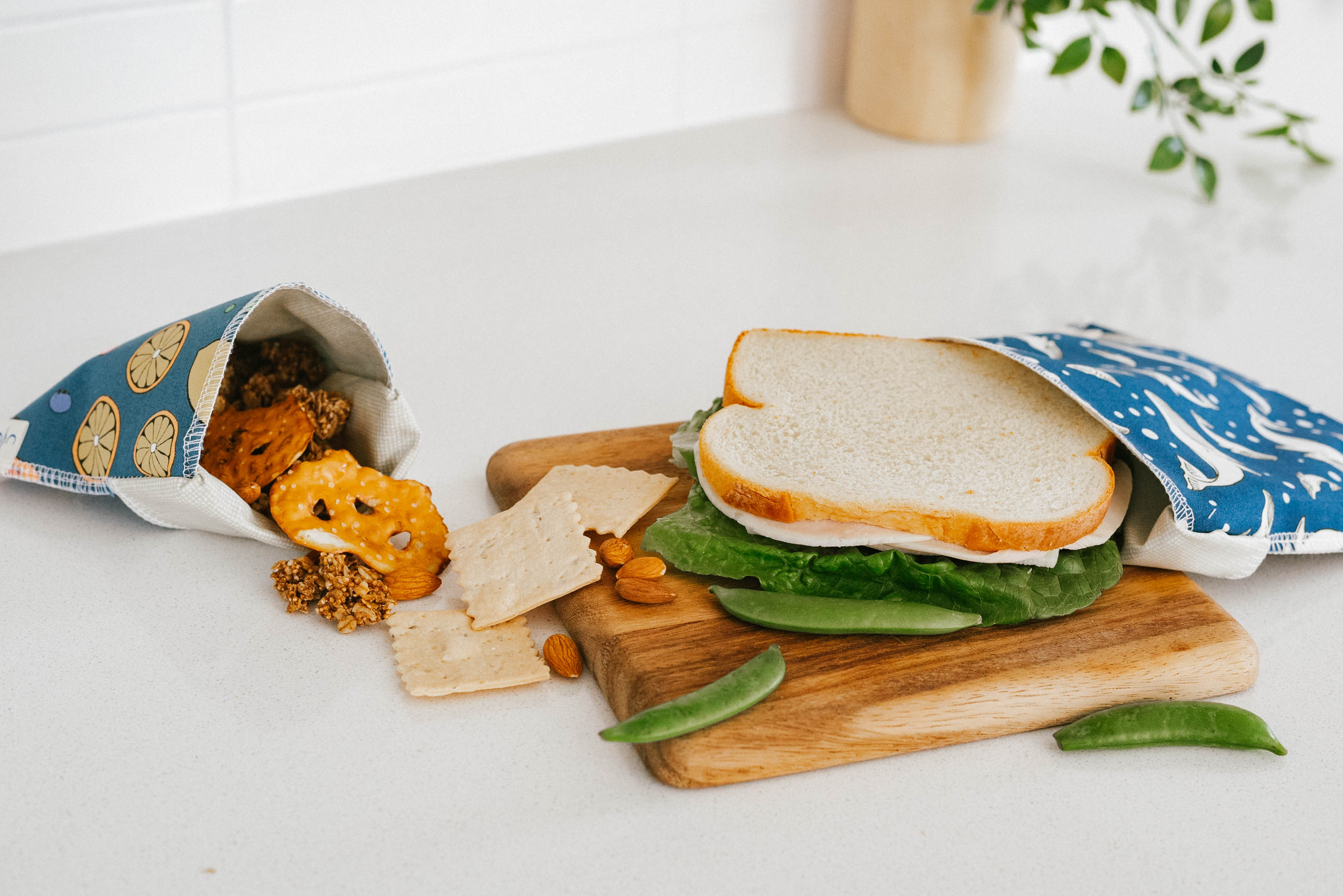2024AbbbieKunchPhotography-35 Snack and Sandwich Bags - Image 1